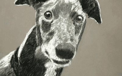 Three Generations Art Exhibition