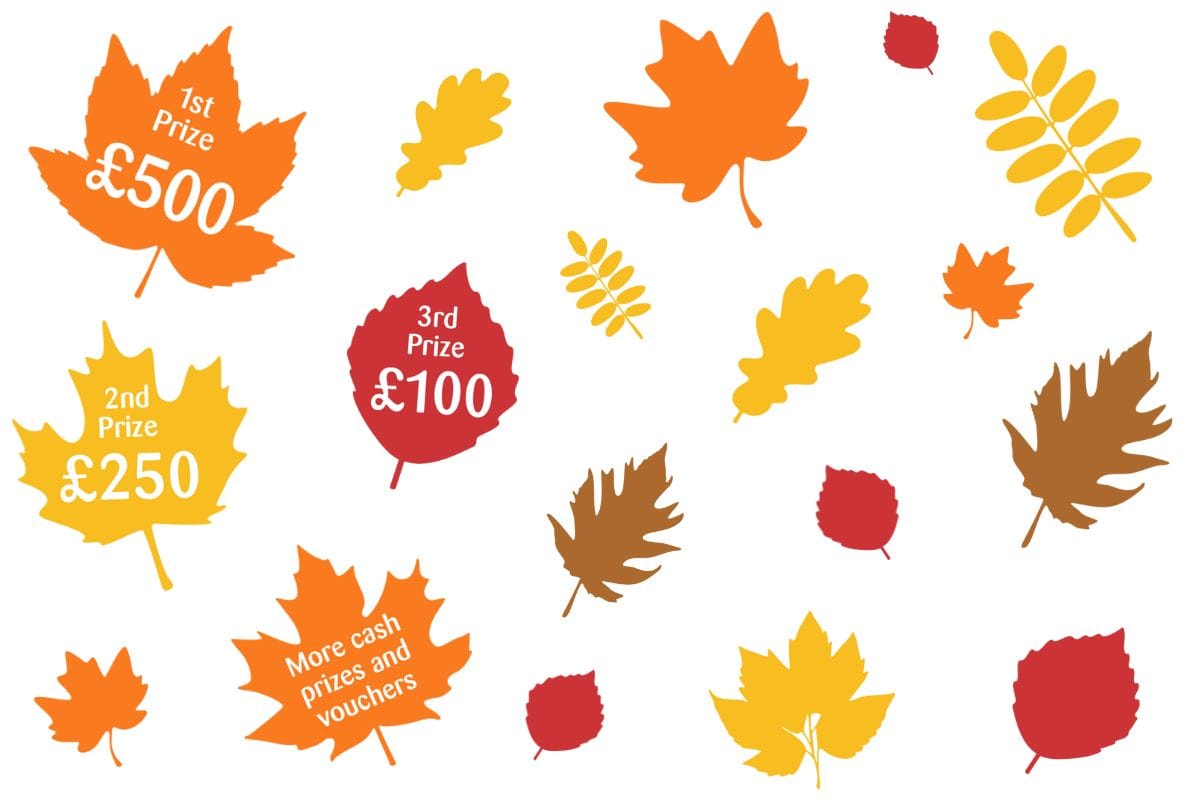 Autum Raffle Homepage Banner