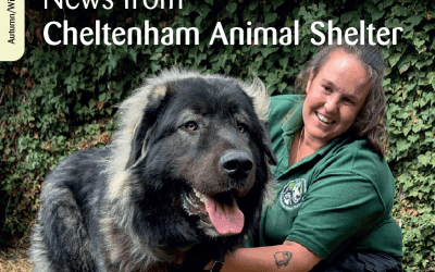 Autumn 2025 Newsletter