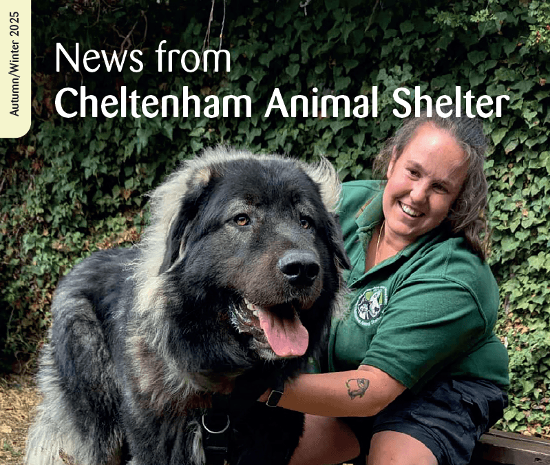 Autumn 2025 Newsletter