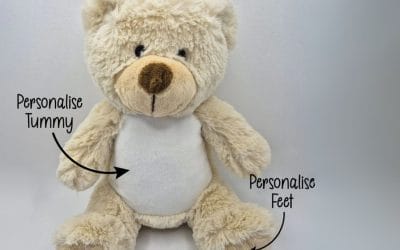 Teddy Rescue supporting pets in need