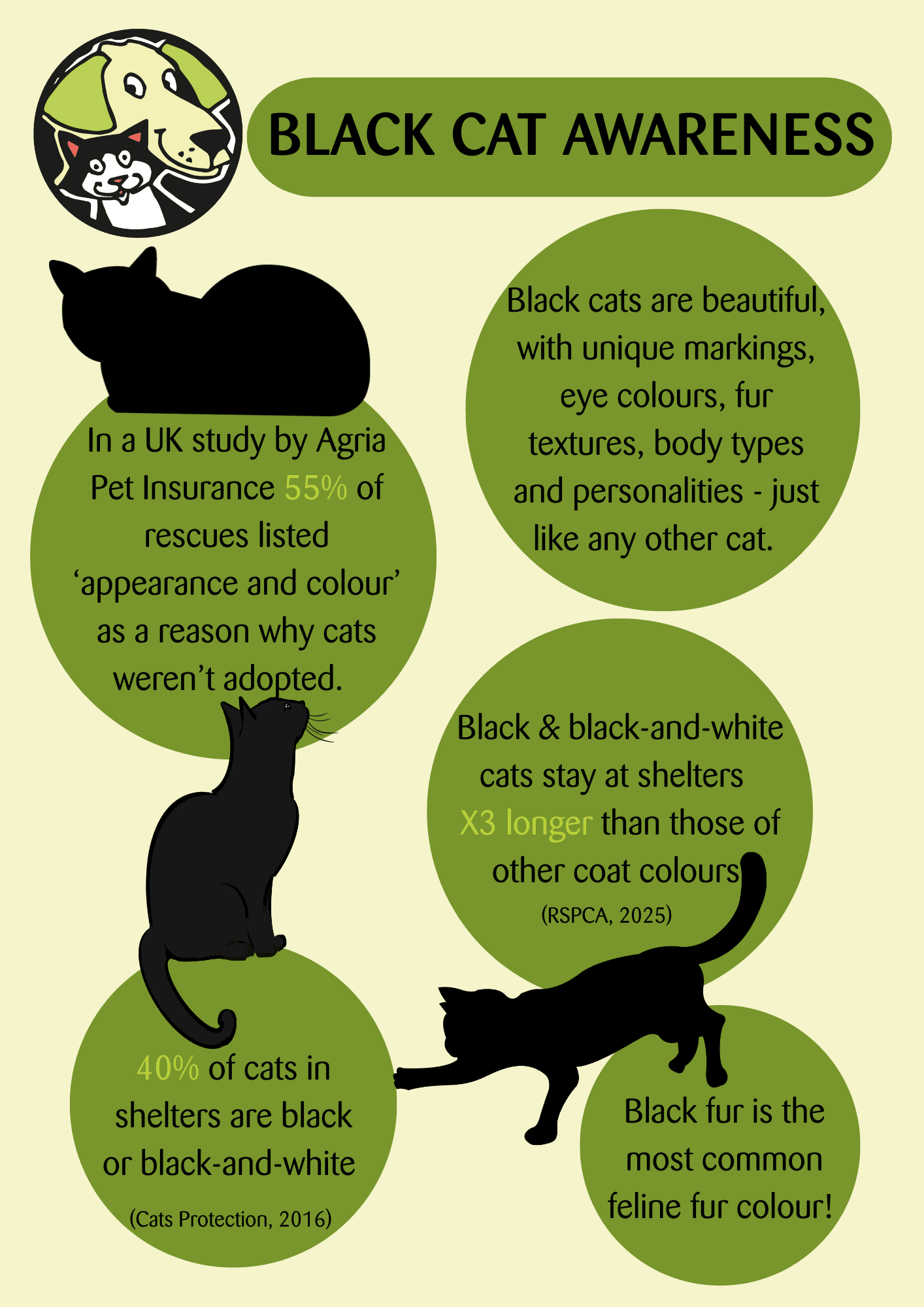 BLACK CAT AWARENESS