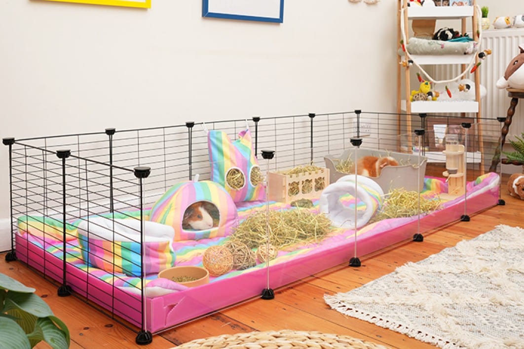 Indoor GP accom 1a