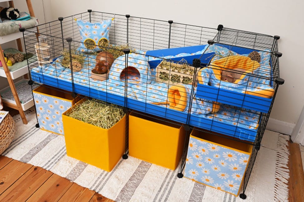 Indoor gp accom 2a