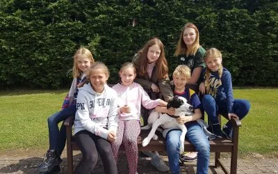 Learning with compassion: education at Cheltenham Animal Shelter