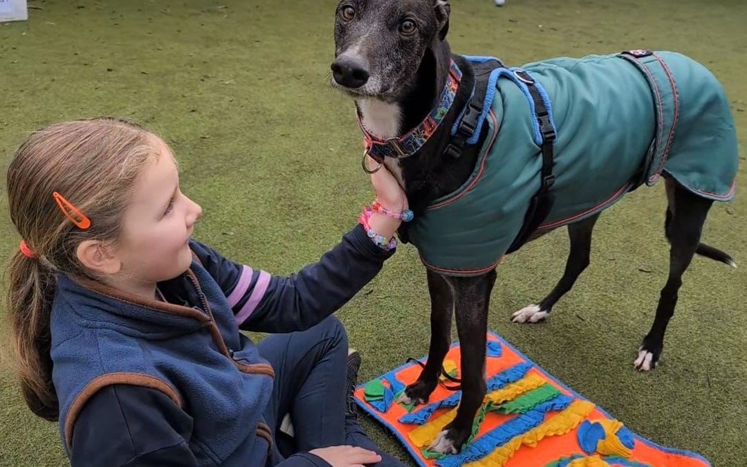 Animal Days News – February half-term