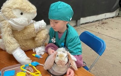 Hopping back to Countrytastic!