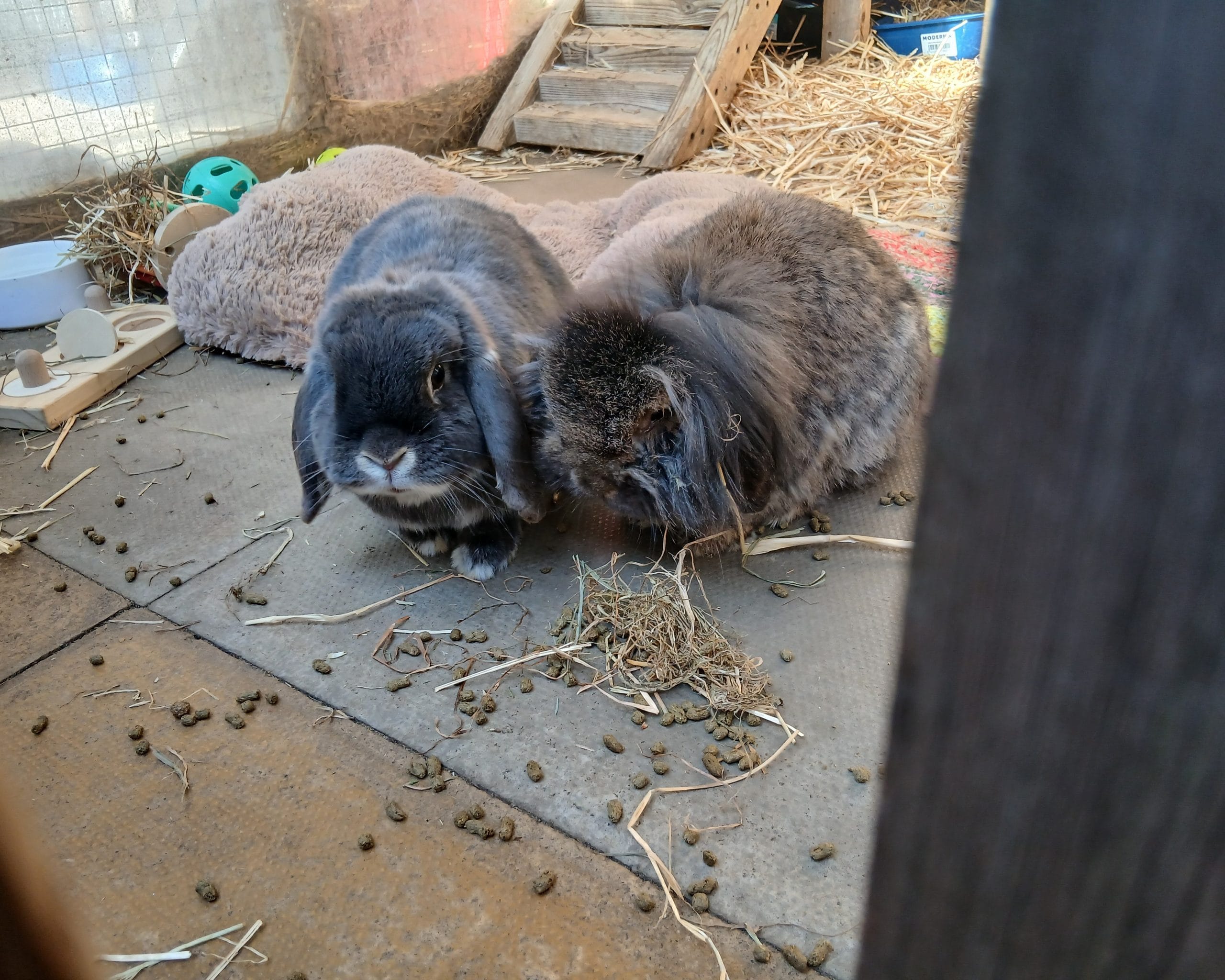 Frank & Flora — photo 3