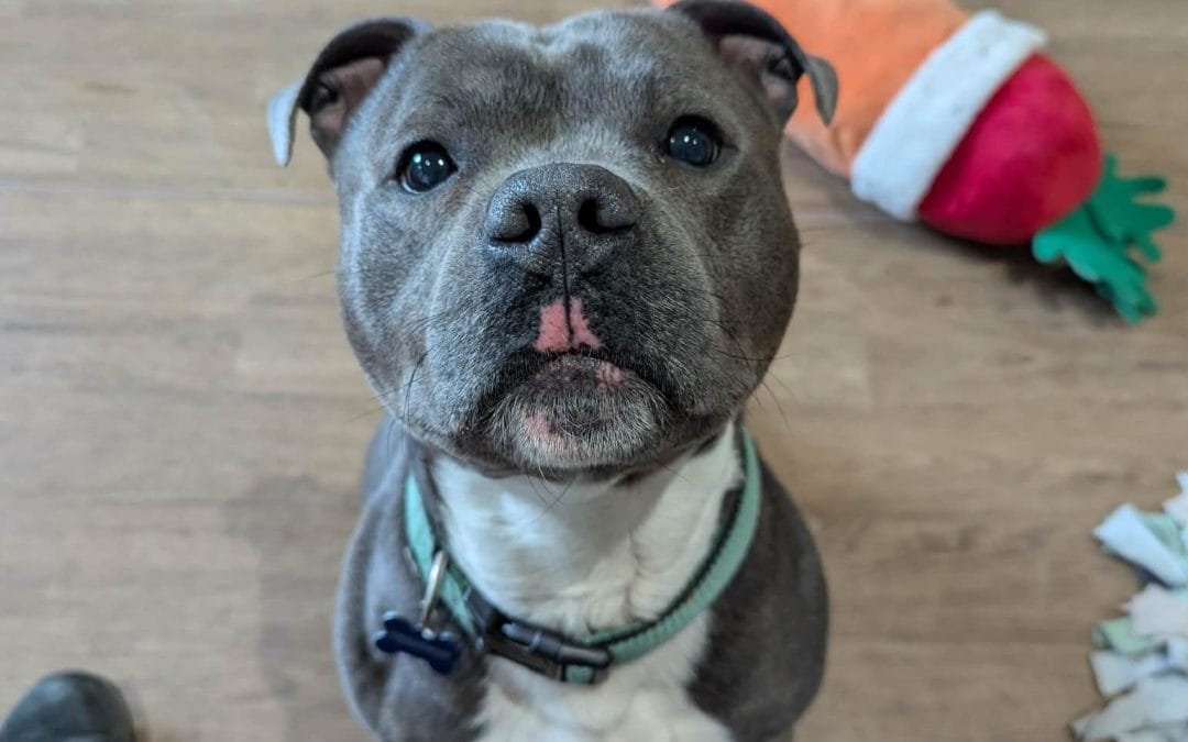 Milo