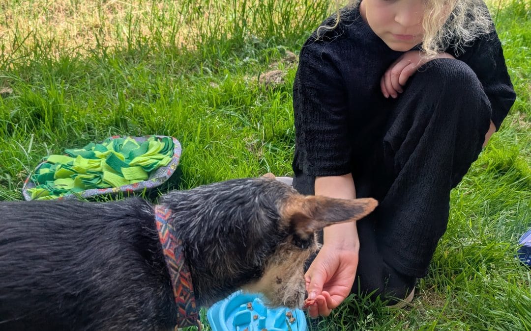 May 2026 Animal Days News