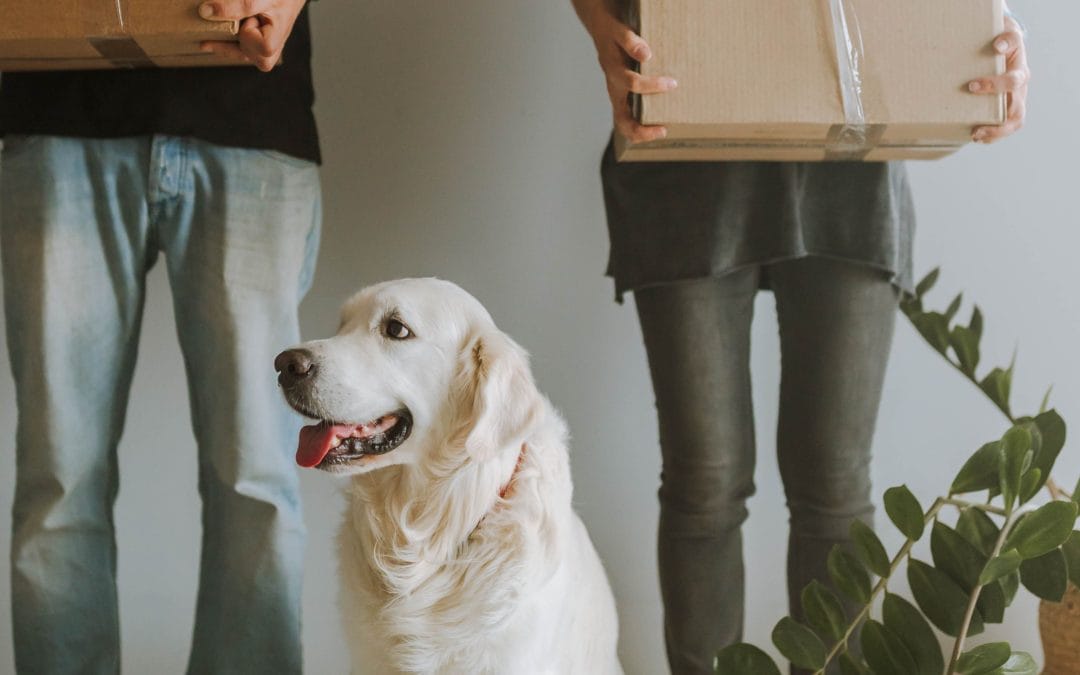 The Renters Rights Act